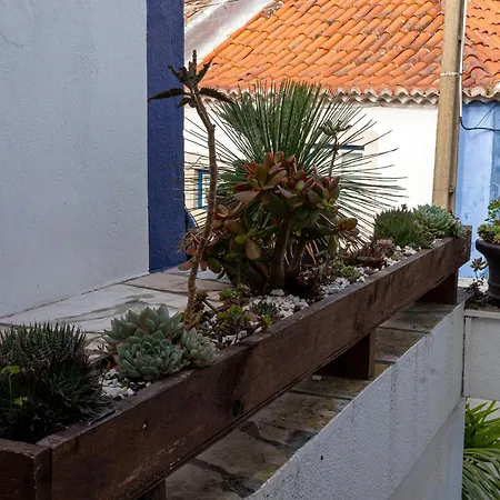 Charmingly Renovated In Sintra, Penedo